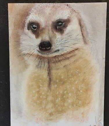 Peter, Meerkat, pastel.